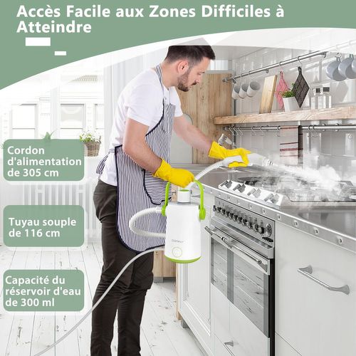 Nettoyeur à Vapeur à Main Portable 1000w Avec Réservoir D'eau De 300 Ml (blanc + Vert)