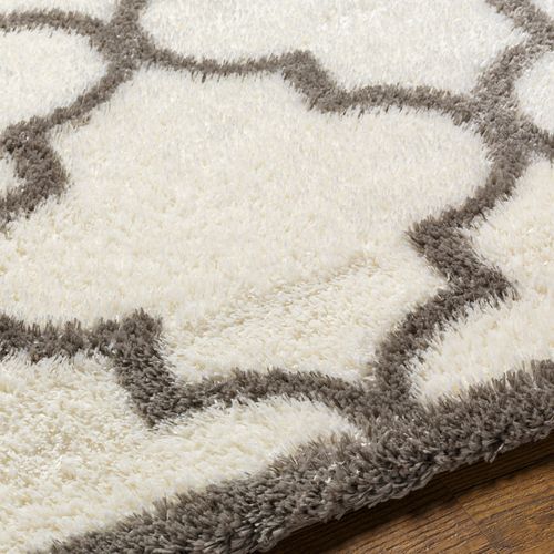 Tapis Shaggy Oriental Ivoire/gris 160x213