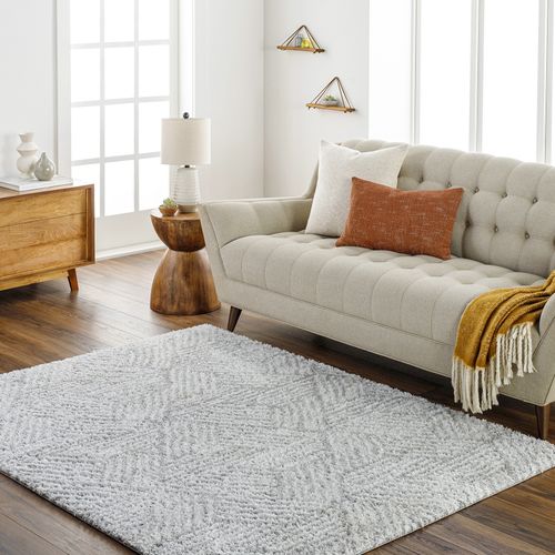 Tapis Shaggy Moderne Blanc/gris 200x275