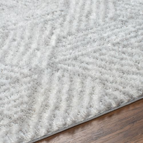 Tapis Shaggy Moderne Blanc/gris 200x275