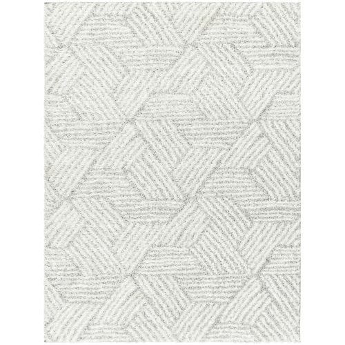 Tapis Shaggy Moderne Blanc/gris 200x275