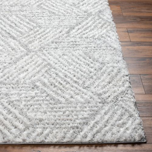 Tapis Shaggy Moderne Blanc/gris 200x275