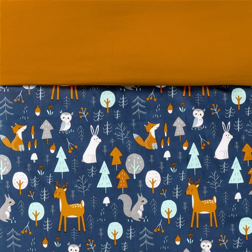 Parure 140x200 cm DREAMEA FOXY