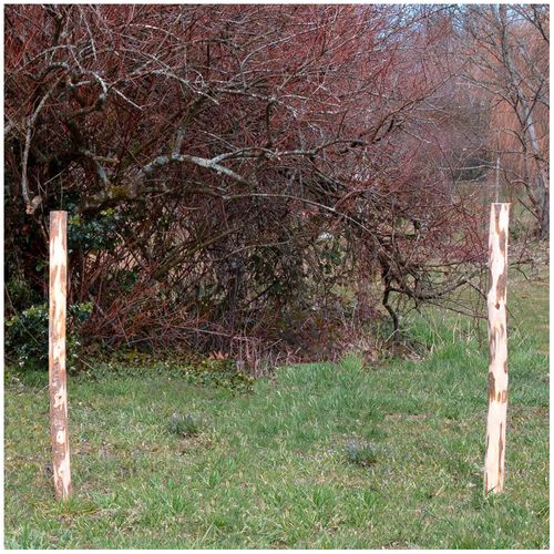 Poteaux En Noisetier (lot De 4) Hauteur 120 Cm