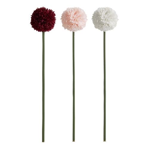 Pompom tige H60  Assorti