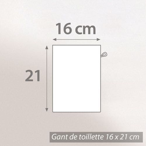 Lot Royal Cresent Serviette Brodée Linnea 50x100 + Gant Assorti Gris Platine