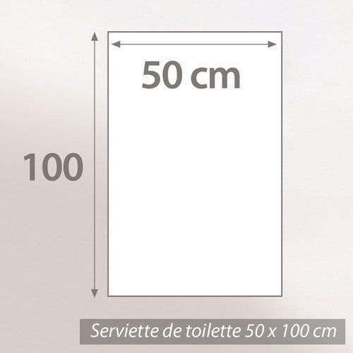 Lot Royal Cresent Serviette Brodée Linnea 50x100 + Gant Assorti Gris Platine