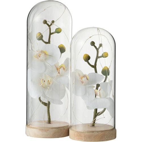 Dome Fleuri Botanique Blanc Verre 9x9x27cm