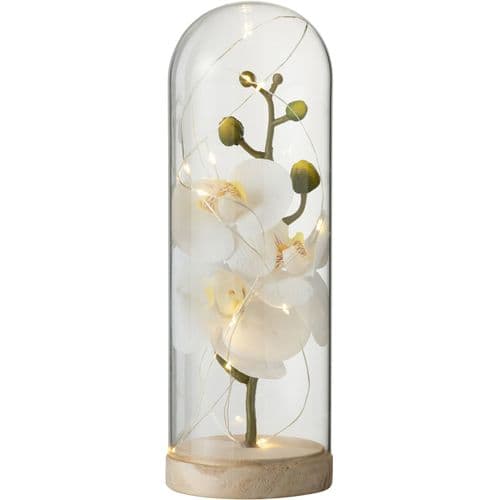 Dome Fleuri Botanique Blanc Verre 9x9x27cm