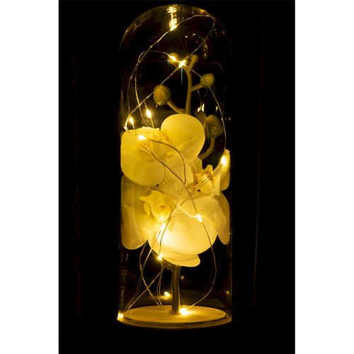 Dome Fleuri Botanique Blanc Verre 9x9x27cm