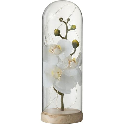 Dome Fleuri Botanique Blanc Verre 9x9x27cm