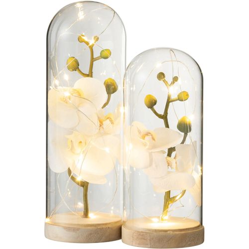 Dome Fleuri Botanique Blanc Verre 9x9x27cm