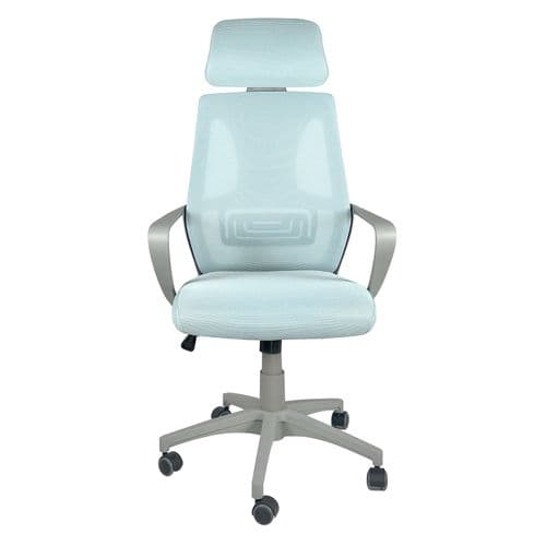 Fauteuil Bureau Ergonomique Siège Basculant Appuie Tête Hauteur Réglable Renfort Lombaire FAMA+