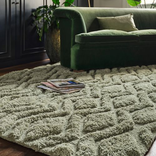 Tapis De Salon Jackson En Polyester - Vert - 160x230 Cm