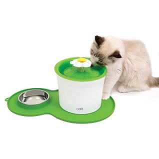 Napperon En Forme D'arachide - Format Moyen - Vert - Pour Chat