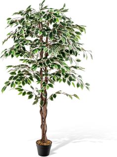 Plante Artificielle De 160cm Avec Pot Rempli, Ficus Artificiel Avec 1008 Feuilles Tronc Réaliste