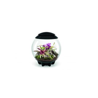 Terrarium Décoratif 60l Avec Cadre Noir - Air 60 Black