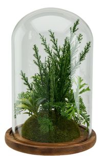 Plante artif et cloche H. 30cm VESTA Vert