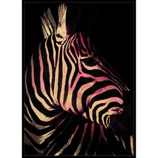 Toile 48x68 cm Zebre Noir