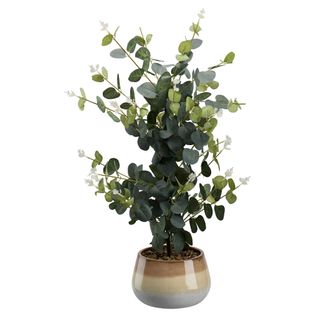 Pot eucalyptus H. 63 cm VITALITY Vert