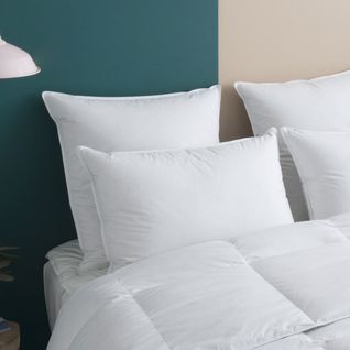 Oreiller Medium 70% Duvet - Coton - Ernest 65 X 65 Cm Blanc