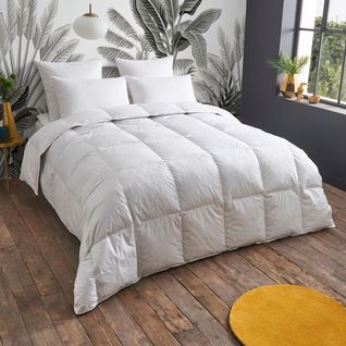 Couette Chaude 30% Duvet - Coton - Gisèle 220 X 240 Cm Blanc