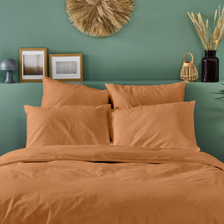 Taie D'oreiller Unie 65x65cm Percale Terracotta