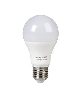 Expertline Ampoule LED E27 10 W Équivalent A 60 W Blanc Froid