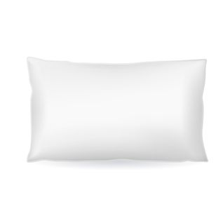 Lot De 2 Oreillers Blanc Microfibre - 45 X 70 - 550grs - Moelleux