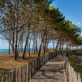 Tableau Sur Toile Chemin D'arcachon 45x45 Cm