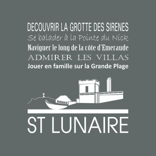 Tableau Sur Toile Saint-lunaire Cendre 30x30 Cm
