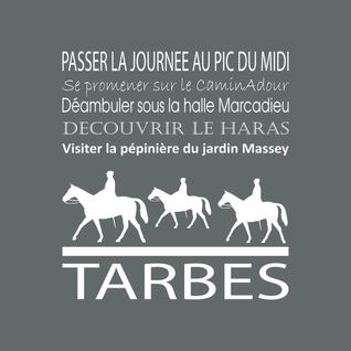 Tableau Sur Toile Tarbes Gris 30x30 Cm