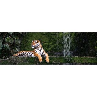 Tableau Sur Toile Tigre Du Bengale 45x135 Cm