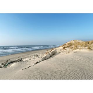 Tableau Sur Toile Dune Littoral 30x45 Cm