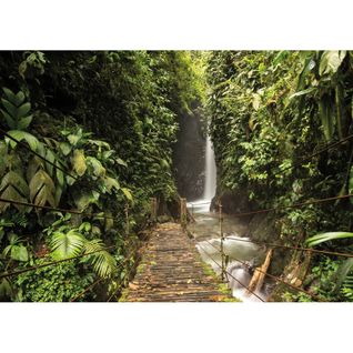 Tableau Sur Toile Forêt Tropicale 30x45 Cm