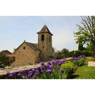 Tableau Sur Toile Capdenac Village 65x97 Cm