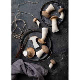 Tableau Sur Toile Champignons 30x45 Cm