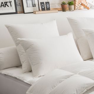 Oreiller 50% Duvet Eco-responsable Ferme 60 X 60 Cm Blanc