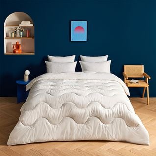 Pack Couette Tempérée + 2 Oreillers Anti Punaises De Lit 220 X 240 Cm Blanc