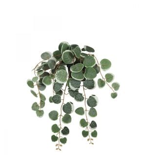 Eucalyptus Artificiel Retombant 40cm Lot De 2