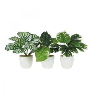 Plante Verte Artificielle 22cm Lot De 3