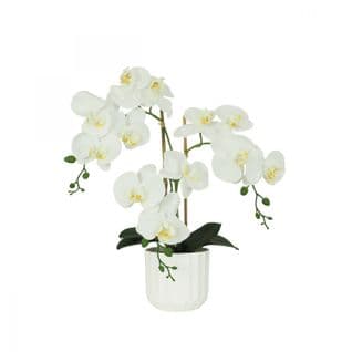 Orchidees Artificielles Toucher Naturel Blanc 52cm