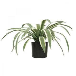 Agave Artificiel Toucher Naturel 45cm