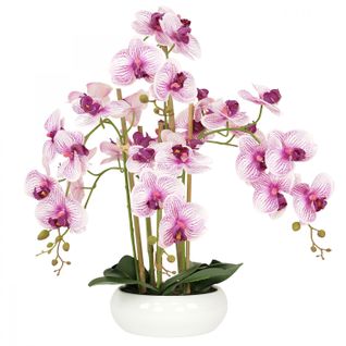 Orchidees Artificielles Blanches Fuchsias 55cm