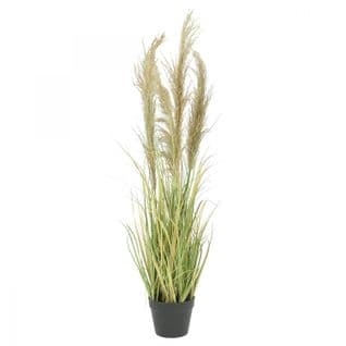 Herbes De La Pampa Artificielles 110cm