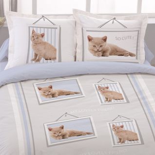 Housse De Couette 200x200 Lovely Friend + 2 Taies Coton 52 Fils