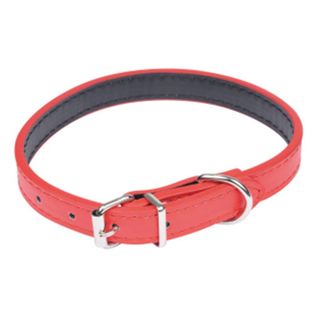 Collier Pour Chien "design Uni" 30cm Rouge