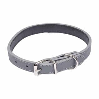 Collier Pour Chien "design Uni" 40cm Gris