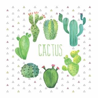 Lot De 20 Serviettes En Papier "boho Cactus" 33x33cm Blanc