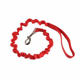 Laisse Anti à Coups Pour Chien "essentiel" 120cm Rouge